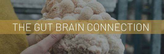 The Gut-Brain Connection: Unveiling the Secrets of Your Second Brain