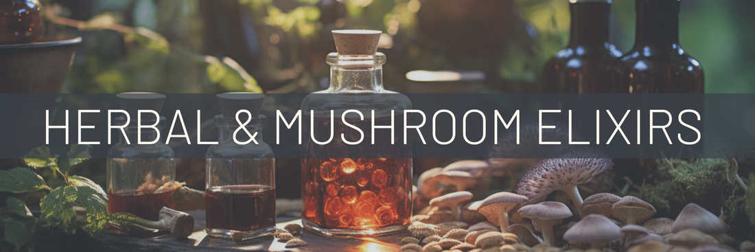 Unlocking the Power of Nature: Exploring the Best Herbal Tinctures and Medicinal Mushroom Elixirs