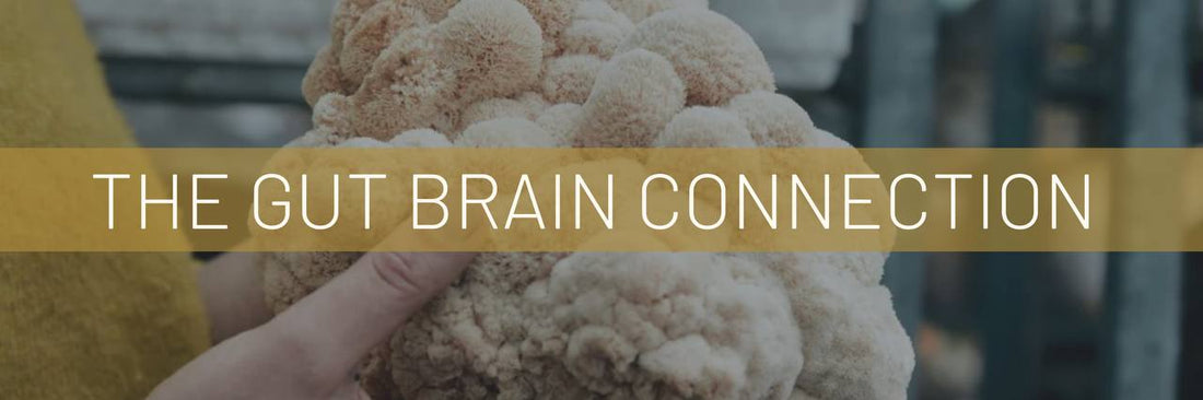The Gut-Brain Connection: Unveiling the Secrets of Your Second Brain