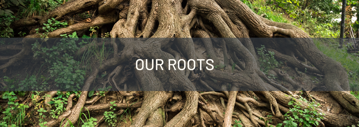 Our Roots – Root and Spore